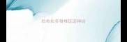 拉布拉多脊椎压迫神经