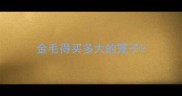 金毛得买多大的笼子