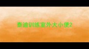 泰迪训练室外大小便