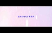 金毛能吃的水果蔬菜