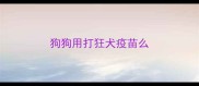 狗狗用打狂犬疫苗么