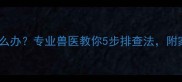 狗狗眼屎变绿怎么办专业兽医教你5步排查法附家庭护理全攻略