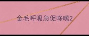 金毛呼吸急促哆嗦