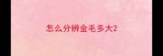 怎么分辨金毛多大