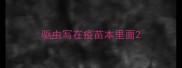 驱虫写在疫苗本里面