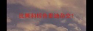 比熊和棕色泰迪杂交