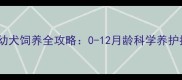 泰迪幼犬饲养全攻略0-12月龄科学养护指南