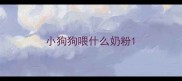 小狗狗喂什么奶粉
