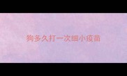 狗多久打一次细小疫苗