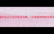 泰迪犬站立行走训练全攻略7天掌握狗狗的优雅姿态