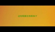 边牧眼睛没有眼珠子