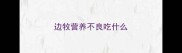 边牧营养不良吃什么