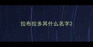 拉布拉多其什么名字