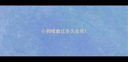 小狗噎着过多久会死