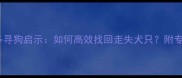 昆明拉布拉多寻狗启示如何高效找回走失犬只附专业寻狗指南