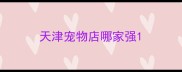 天津宠物店哪家强
