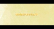 边牧狗丢失启示怎么写