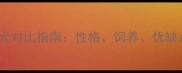 拉布拉多VS金毛犬对比指南性格饲养优缺点全养狗必看