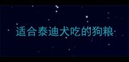 适合泰迪犬吃的狗粮