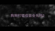 狗狗打错疫苗会死吗