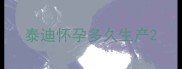 泰迪怀孕多久生产