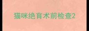 猫咪绝育术前检查
