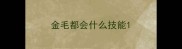 金毛都会什么技能