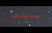 拉布拉多幼犬天然粮