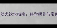 两个月大幼犬饮水指南科学喂养与常见误区全