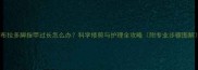 拉布拉多脚指甲过长怎么办科学修剪与护理全攻略附专业步骤图解