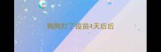 狗狗打了疫苗4天后后