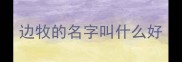 边牧的名字叫什么好