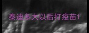 泰迪多大以后打疫苗