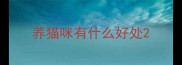 养猫咪有什么好处