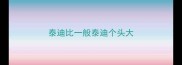 泰迪比一般泰迪个头大