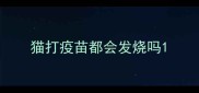 猫打疫苗都会发烧吗