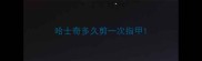 哈士奇多久剪一次指甲