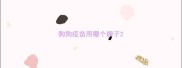 狗狗疫苗用哪个牌子
