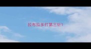 拉布拉多打第三针
