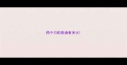 两个月的泰迪有多大