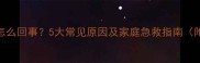 狗狗浑身抽搐怎么回事5大常见原因及家庭急救指南附症状对照表