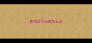 狗狗尿不出来怎么办