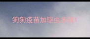 狗狗疫苗加驱虫多钱