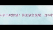 哈士奇误食腊肉骨头后出现抽搐兽医紧急提醒这3种情况必须立即送医