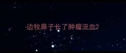 边牧鼻子长了肿瘤流血