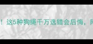哈士奇遛狗必看这5种狗绳千万选错会后悔附超全避坑指南