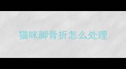 猫咪脚骨折怎么处理