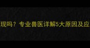 泰迪犬鼻子湿润是健康的表现吗专业兽医详解5大原因及应对措施附日常护理指南