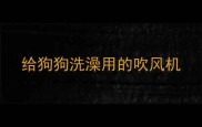 给狗狗洗澡用的吹风机