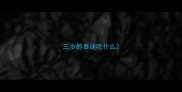 三岁的泰迪吃什么